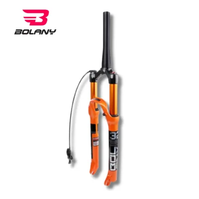 SUSPENSAO BOLANY 32 CONICO 120MM 9MM R29