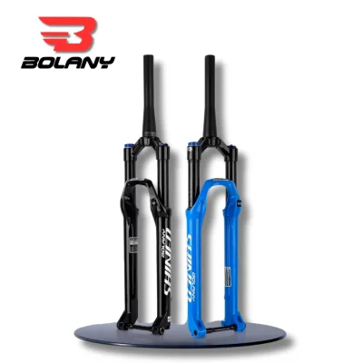 SUSPENSAO BOLANY SHINED 120MM 15*110MM R29 