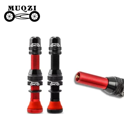 BICO TUBELESS MUQZI AV